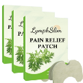 knee pain patch-upsell